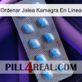 Ordenar Jalea Kamagra En Línea viagra3